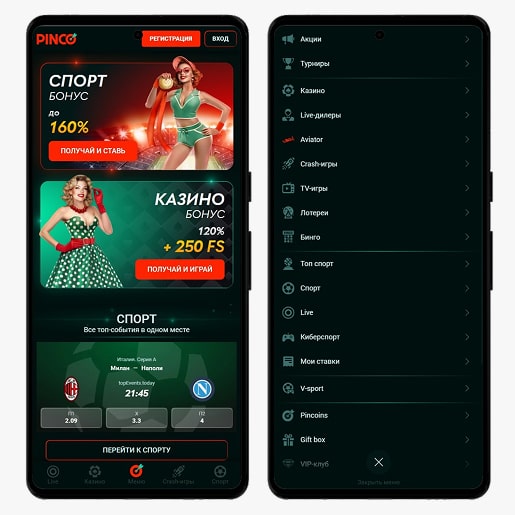 Внешний вид